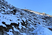 48 Meglio camminare fuori dal sentiero...